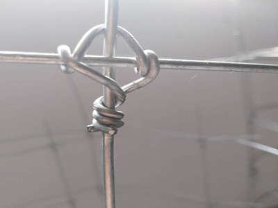 鹿網圍欄 鹿網圍欄