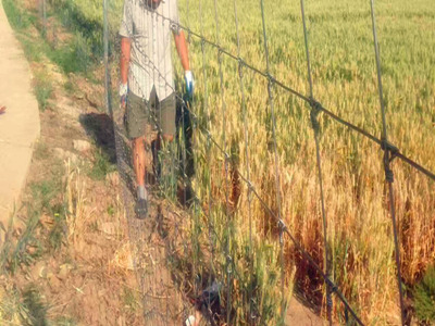 鹿網圍欄 鹿網圍欄