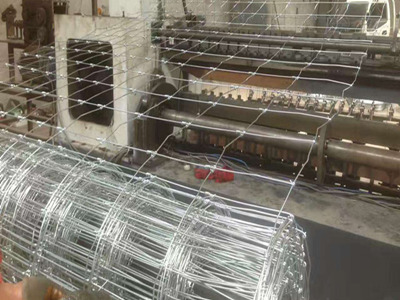 鹿網圍欄 鹿網圍欄